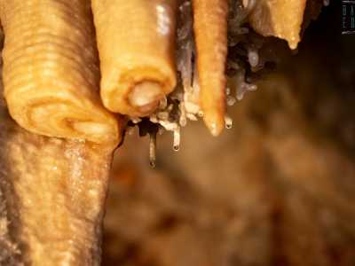 Capiamo subito di essere nel regno dell�acqua. L�oro blu scorre lentamente lungo le pareti, oppure gocciola dalle stalattiti con lentezza o ancora imperla le �fette� che ci sovrastano, luccicando quando il fascio di luce dei nostri fari la accarezza